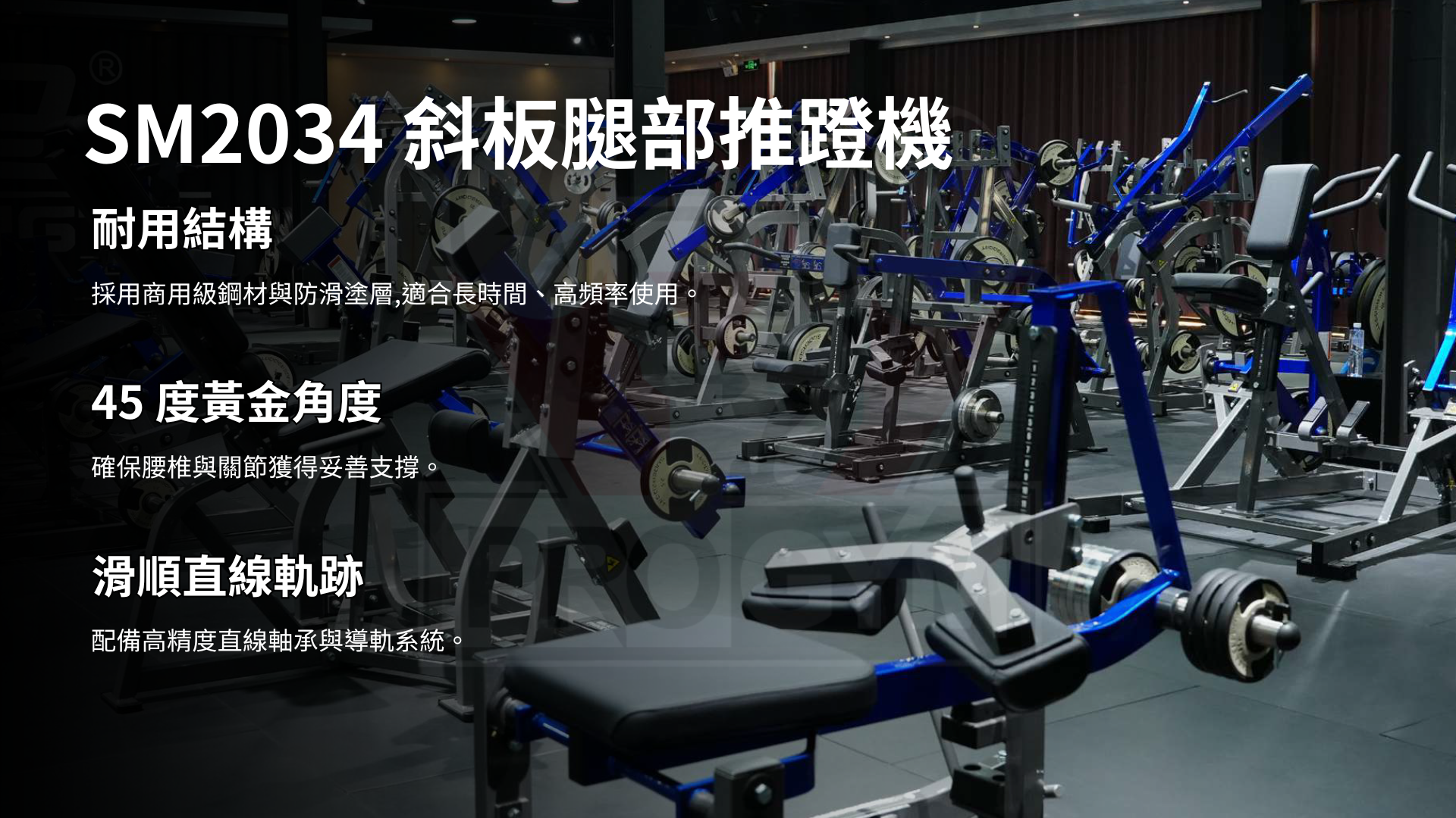 3377体育官方网站图片