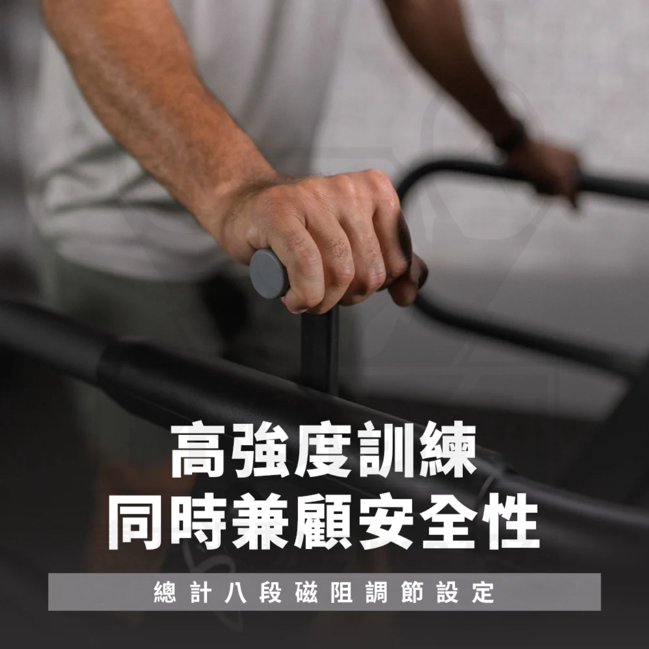 3377体育官方网站图片