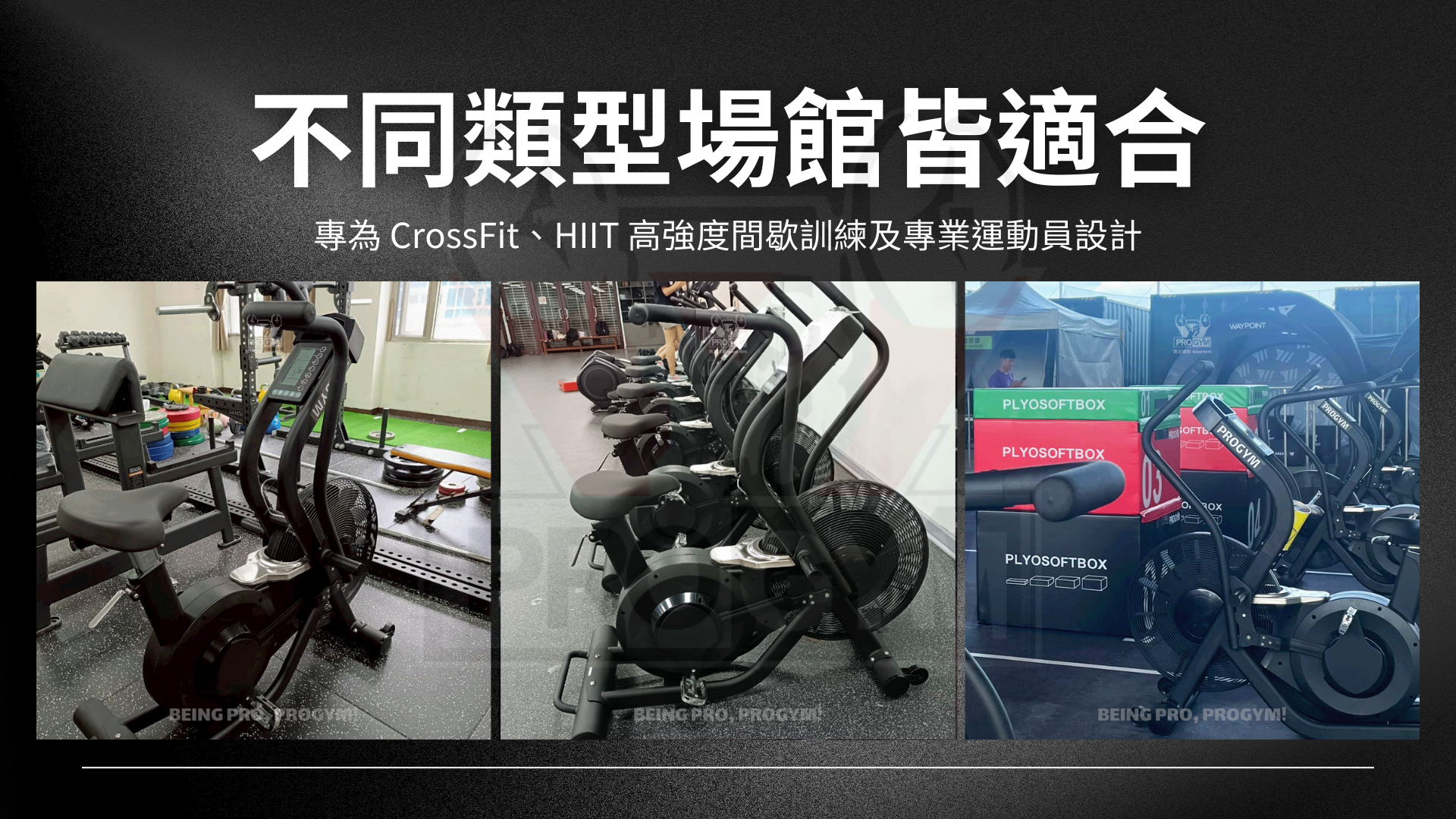 3377体育官方网站图片